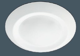 Regressed-Disk-RD-30306-1